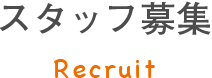 スタッフ募集 Recruit